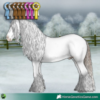 Horse Color:White Spotted Liver Chestnut Appaloosa 