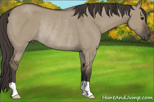 Horse Color:Smoky Grullo Rabicano 