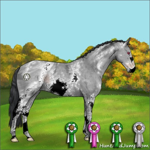 Horse Color:ERROR: UNKNOWN ANOMALY