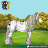 Horse Color:Watercolor White Spotted Liver Chestnut Ice Sabino 