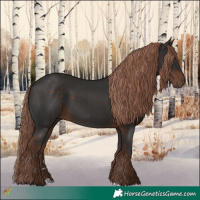 Horse Color:Liver Chestnut Rabicano