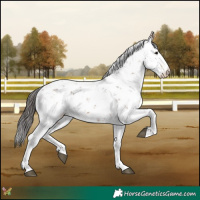 Horse Color:Bay Sabino 