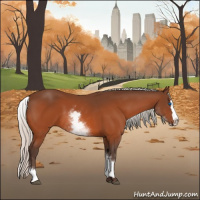 Horse Color:White Spotted Silver Brown Splash 