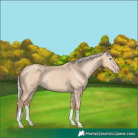 Horse Color:Silver Classic Champagne Dun Splash Frame