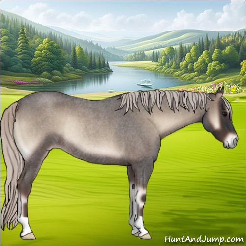 Horse Color:Silver Blue Onyx Roan Rabicano 