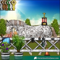Horse Color:Liver Chestnut Sabino Tobiano Snowflake Varnish 