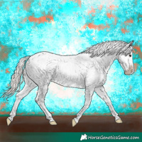 Horse Color:Silver Grullo Ice Splash Appaloosa 