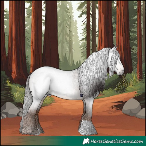 Horse Color:Gray Liver Red Roan 