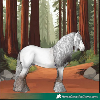 Horse Color:Gray Liver Red Roan 