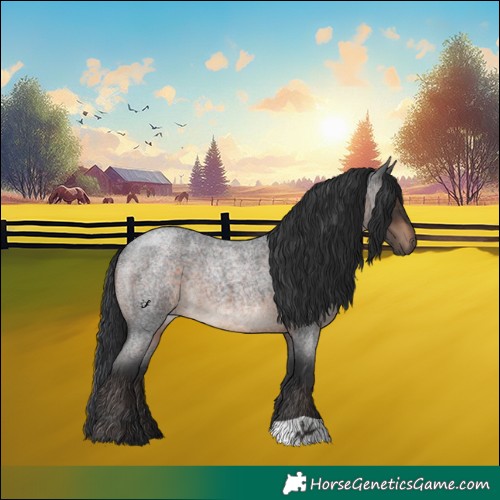 Horse Color:Brown Roan