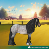Horse Color:Brown Roan 