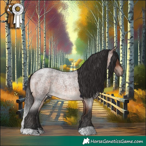Horse Color:Bay Roan 