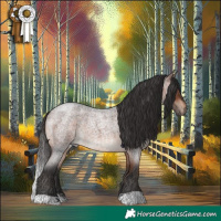 Horse Color:Bay Roan 
