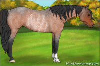 Horse Color:Bay Roan Rabicano 
