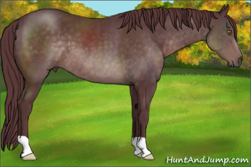 Horse Color:Platinum Chocolate Brown 