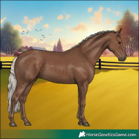 Horse Color:Silver Black 