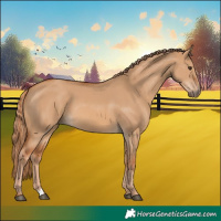 Horse Color:Red Dun 