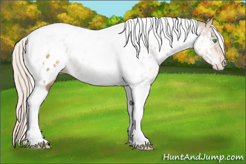 Horse Color:Silver Buckskin Pearl Tobiano Near Leopard