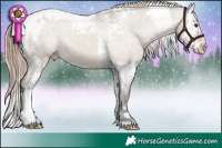 Horse Color:Liver Red Dun Sabino Splash Tobiano Appaloosa 