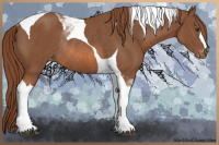 Horse Color:Chestnut Tobiano Appaloosa Rabicano 