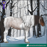 Horse Color:Liver Red Roan Tobiano