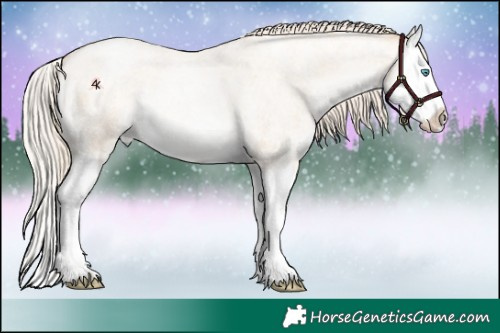Horse Color:Palomino Roan Pearl Dun Splash 