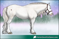 Horse Color:Palomino Roan Pearl Dun Splash 