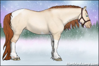 Horse Color:Buckskin Pearl Dun Tobiano 