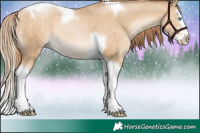 Horse Color:Buckskin Pearl Splash Tobiano 