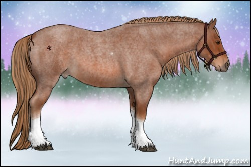 Horse Color:Red Roan Tobiano 