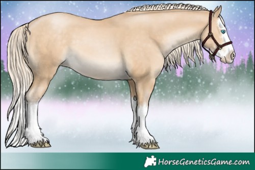 Horse Color:Palomino Pearl Splash 