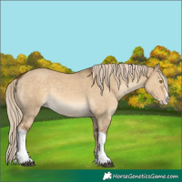 Horse Color:Chocolate Palomino Dun Splash Tobiano 