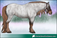 Horse Color:Liver Red Roan 