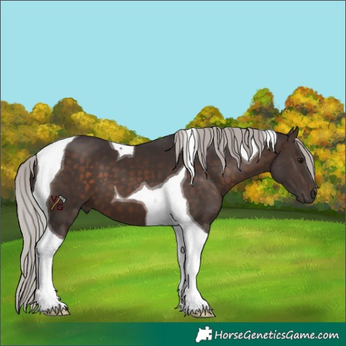 Horse Color:Silver Brown Tobiano 