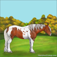 Horse Color:Silver Brown Tobiano 