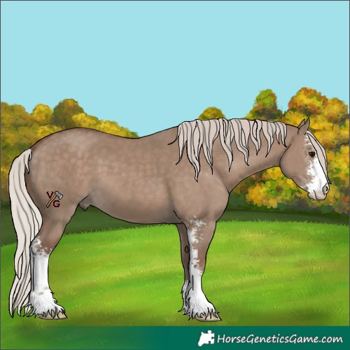 Horse Color:Silver Grullo Sabino 