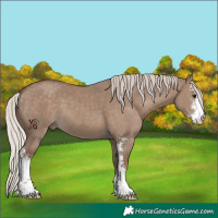 Horse Color:Silver Grullo Sabino 