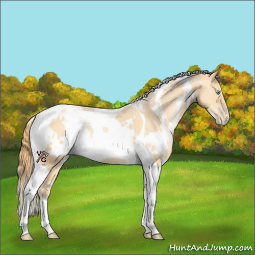 Horse Color:White Spotted Buckskin Pearl Tobiano