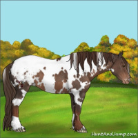 Horse Color:White Spotted Liver Chestnut Snowcap 