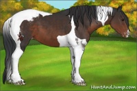 Horse Color:Brown Tobiano Varnish 