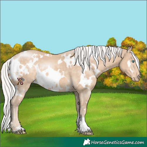 Horse Color:White Spotted Silver Perlino