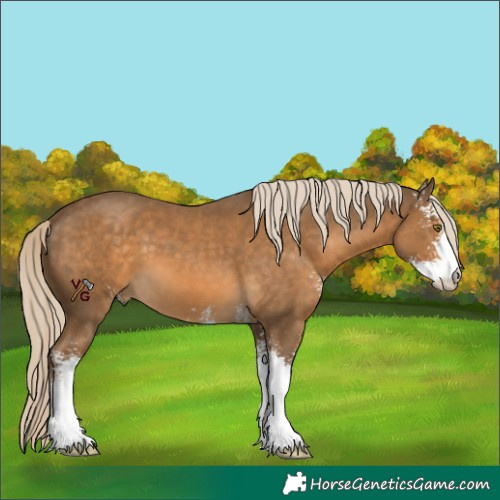 Horse Color:Chocolate Palomino Sabino 