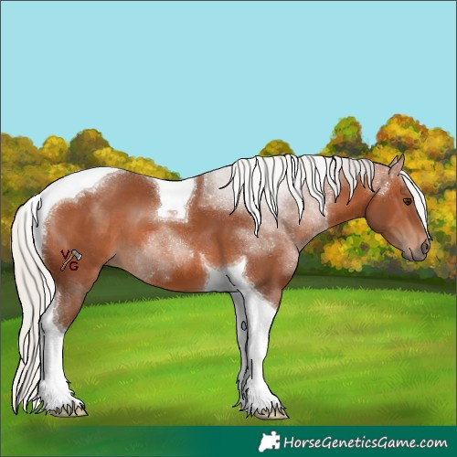 Horse Color:Silver Brown Tobiano 