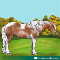 Horse Color:Silver Brown Tobiano
