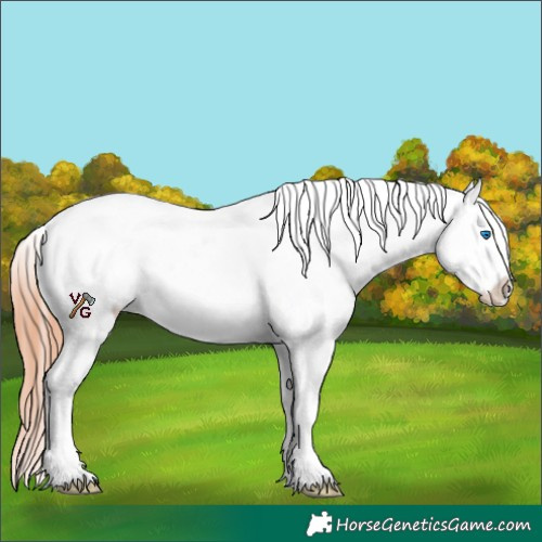Horse Color:Bay Dun Splash Tobiano Appaloosa Rabicano 