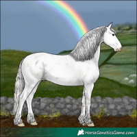 Horse Color:Silver Black Sabino