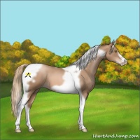 Horse Color:Liver Red Roan Pearl Tobiano Frame 
