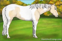 Horse Color:Silver Buckskin Pearl Tobiano 