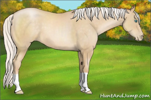 Horse Color:Silver Smoky Black Pearl 