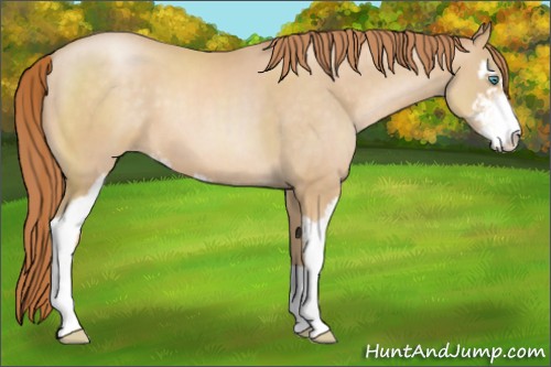 Horse Color:Smoky Black Pearl Sabino 